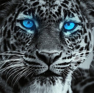 Meet your Posher, Nicolette